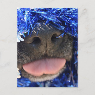 Schwarze Dose mit blauer Tinsel-Zunge Postkarte