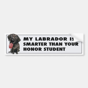 (Schwarze) Ehre Labrador retrievers Autoaufkleber