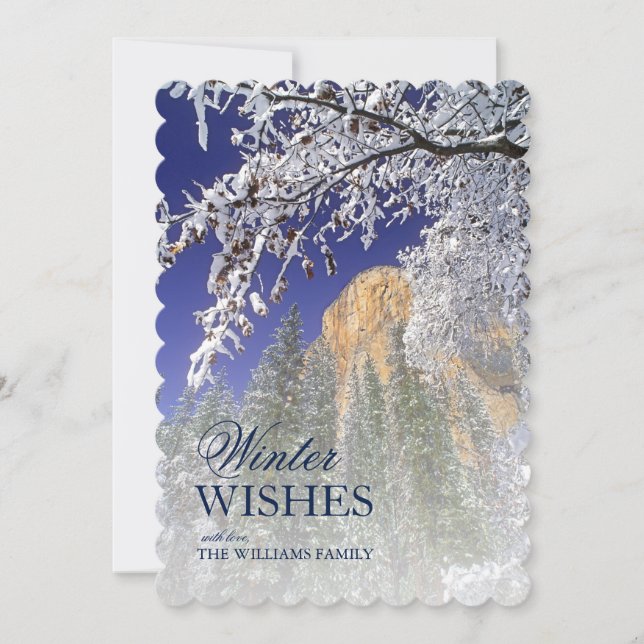 Schwarze Eichenbäume im Schnee bei Yosemite (Vorderseite)