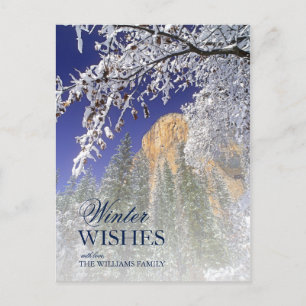 Schwarze Eichenbäume im Schnee bei Yosemite Postkarte