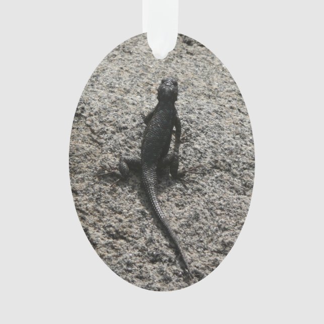 Schwarze Eidechse Ornament (Vorderseite)