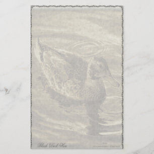 Schwarze Enten-Henne-Gewohnheits-Briefpapier Briefpapier