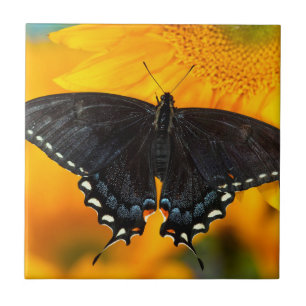 Schwarze Form des Östlichen Tigers Fliese