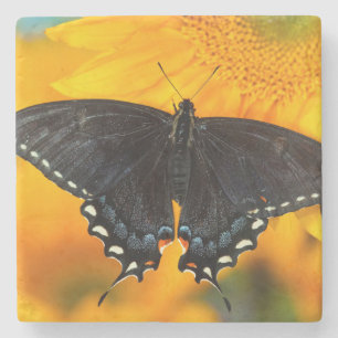 Schwarze Form des Östlichen Tigers Steinuntersetzer