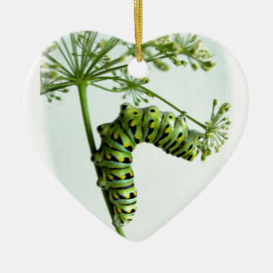 Schwarze Frack-Raupe, die Petersilie isst Keramik Ornament