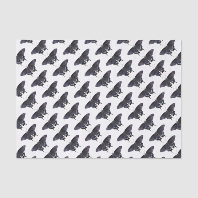 Schwarze Fracks aus Papiergewebe Seidenpapier (Vorderseite)