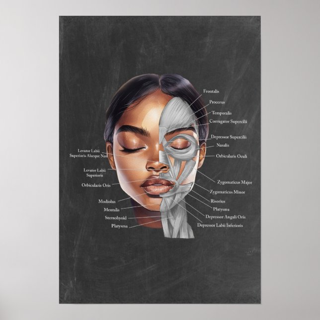 Schwarze Frau Schönheit Gesichtszüge Anatomie Kuns Poster (Vorne)