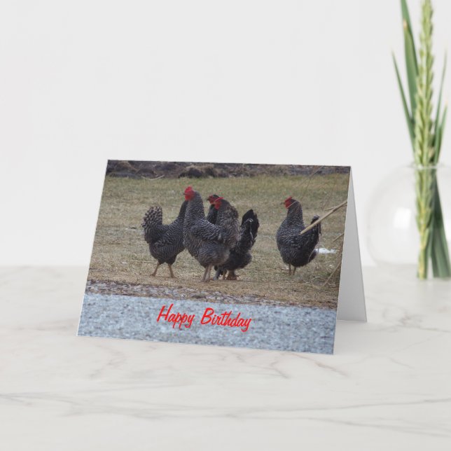 Schwarze, gesprenkelte Hühner, Geburtstag Karte (Vorderseite)
