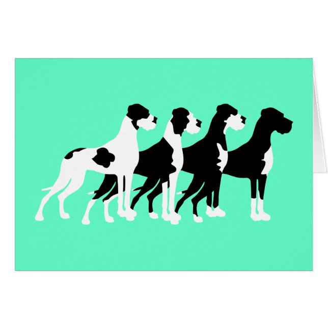 Schwarze Große Dänen (Vorderseite (Horizontal))