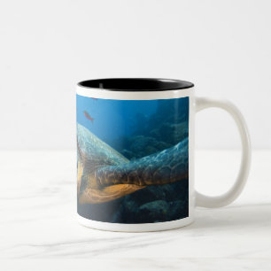 Schwarze (Grüne) Meeresschildkröte (Chelonia agass Zweifarbige Tasse