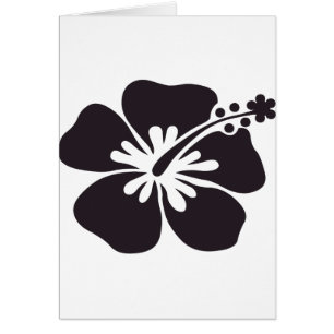 schwarze Hibiskus-Blume