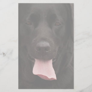 Schwarze Hundegesicht Briefpapier