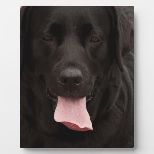 Schwarze Hundegesicht Fotoplatte (Vorderseite)