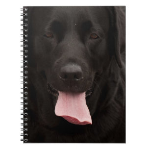 Schwarze Hundegesicht Notizblock