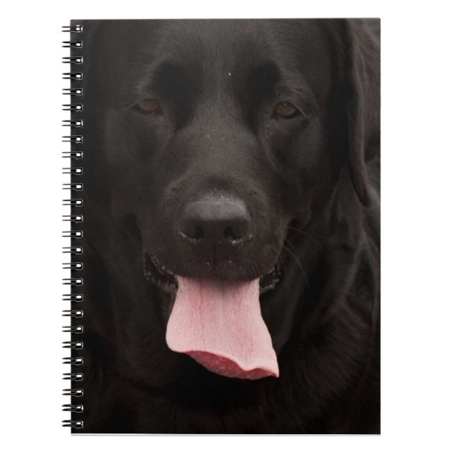 Schwarze Hundegesicht Notizblock (Vorderseite)