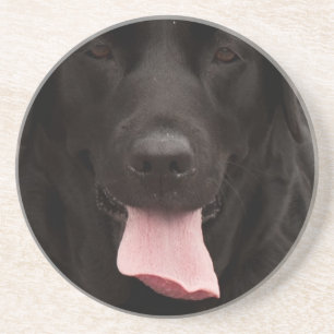 Schwarze Hundegesicht Untersetzer