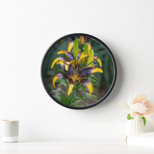 Schwarze Hybrid-Asiatische Lilie, Blumenfotografie Uhr