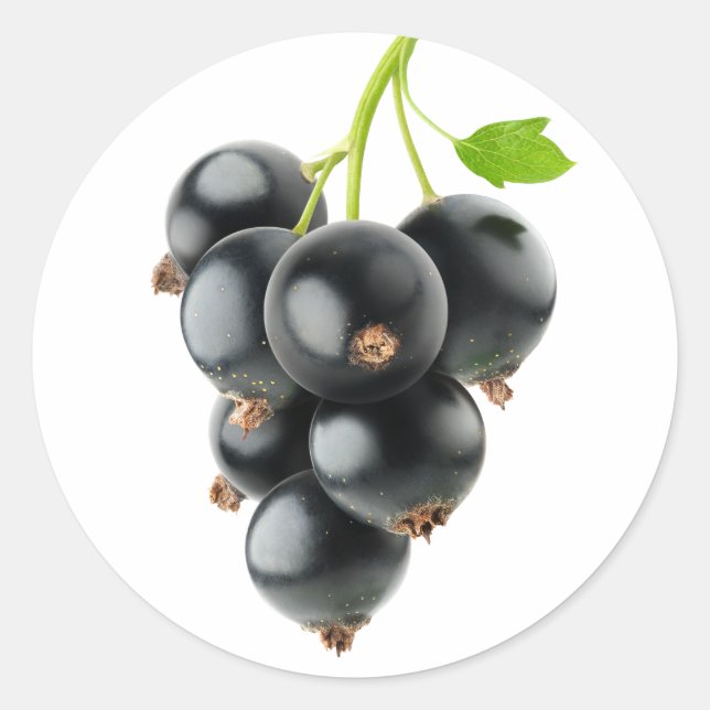 Schwarze Johannisbeere Runder Aufkleber (Vorderseite)