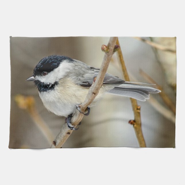 Schwarze Karte Chickadee Küchentücher (Horizontal)