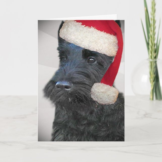 Schwarze Karte Scottish-Terriers Sankt (Vorderseite)