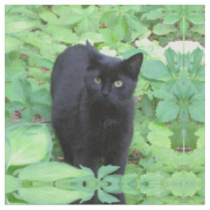 Schwarze Kätzchen-Katze im Garten Stoff
