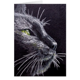 Schwarze Katze