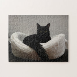Schwarze Katze