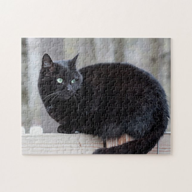 Schwarze Katze (Horizontal)