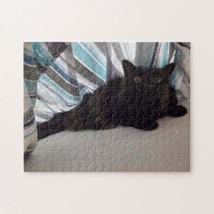 Schwarze Katze