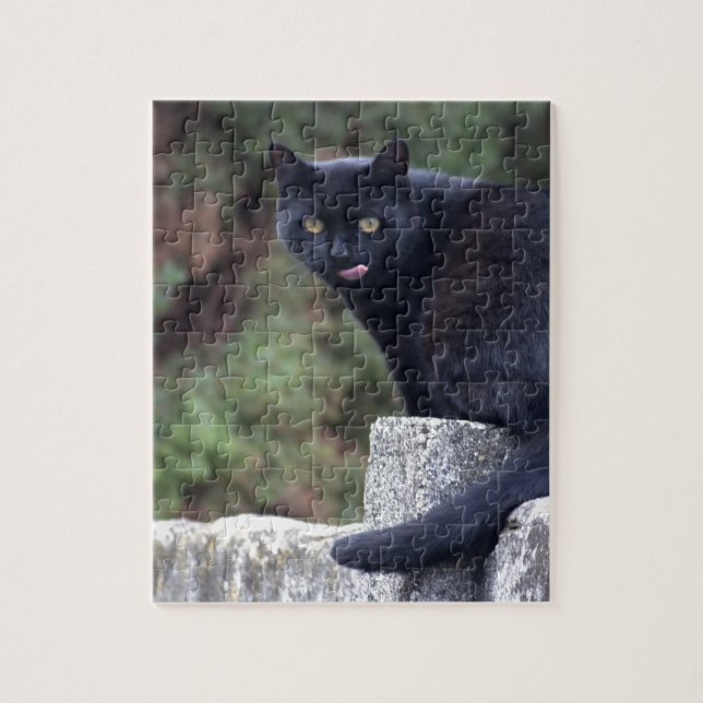 Schwarze Katze (Vertikal)