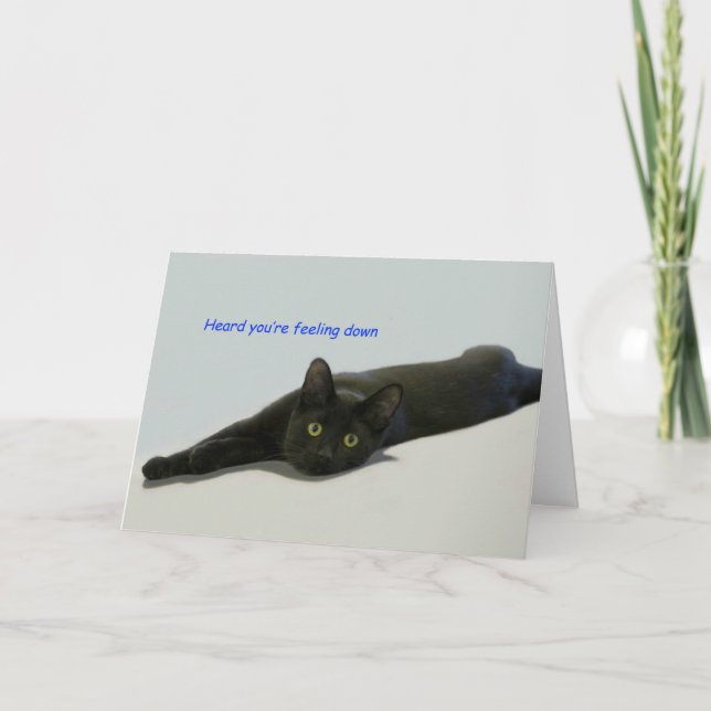 Schwarze Katze auf dem Boden sprüht Karte (Vorderseite)