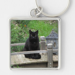 Schwarze Katze auf einem Brücken-Schlüsselanhänger Schlüsselanhänger