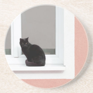 Schwarze Katze auf Koralle Getränkeuntersetzer