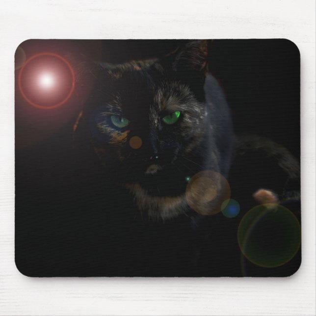 Schwarze Katze auf schwarzem Mauspad (Vorne)