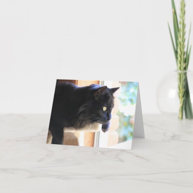 Schwarze Katze aus Fenster schauend, innen leer Karte (Vorderseite)