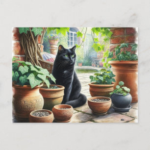 Schwarze Katze beobachtet, wie Katzenminze wächst, Postkarte