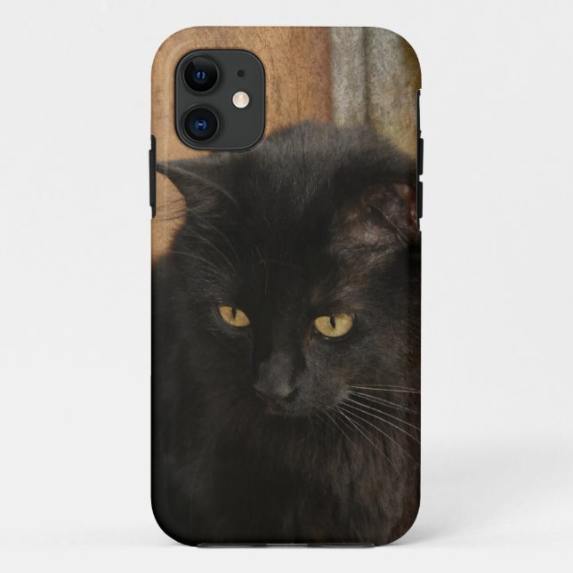 Schwarze Katze, bernsteinfarbige Augen, Erdtöne Case-Mate iPhone Hülle (Rückseite)