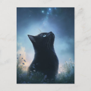 Schwarze Katze betrachtet den Sternenhimmel eines Postkarte