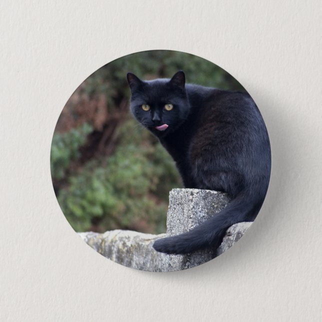 Schwarze Katze Button (Vorderseite)