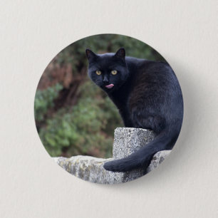 Schwarze Katze Button