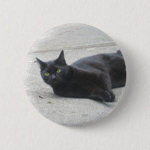 Schwarze Katze Button