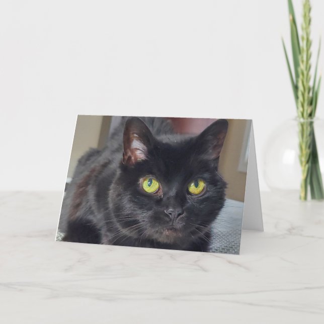 Schwarze Katze Dankeskarte (Vorderseite)