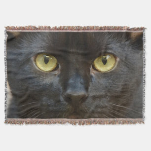 Schwarze Katze Decke