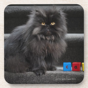 Schwarze Katze, die auf Treppe durch Gebäudeblöc Untersetzer