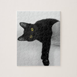 Schwarze Katze entspannen auf dem Sofa