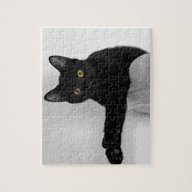 Schwarze Katze entspannen auf dem Sofa (Vertikal)