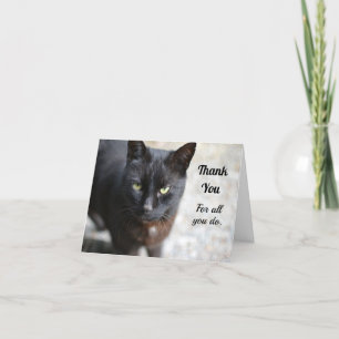 Schwarze Katze Falten bald gut erhalten dank Ihrer Dankeskarte