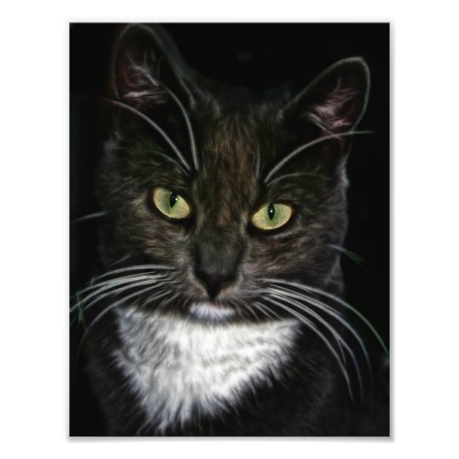 Schwarze Katze Fotodruck (Vorne)