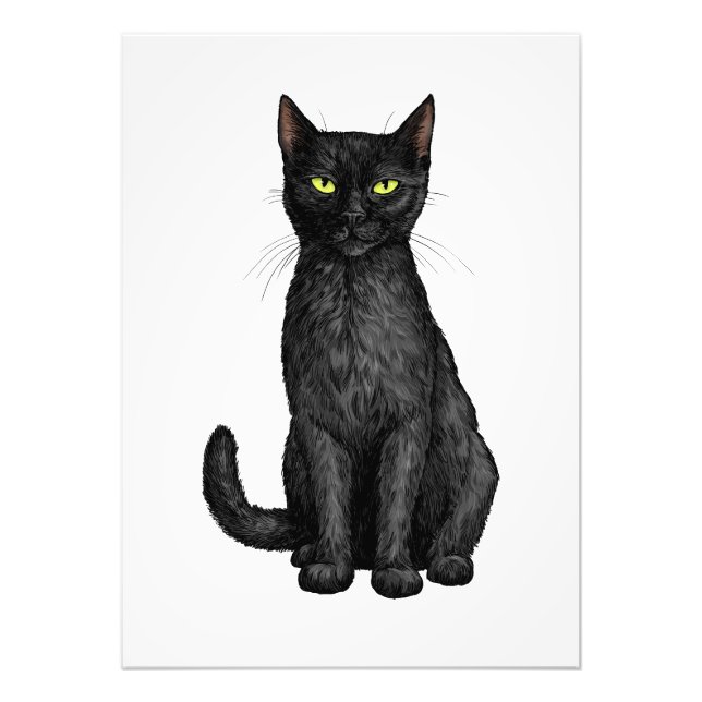 Schwarze Katze Fotodruck (Vorne)