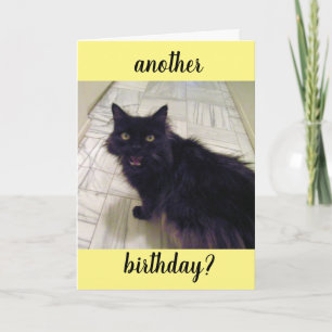 Schwarze Katze Geburtstagskarte Karte